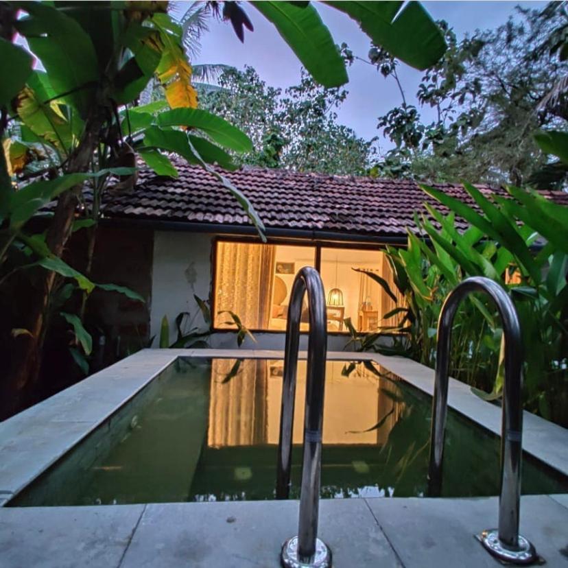 Sunsets And Palm Trees Bed & Breakfast Alappuzha Exterior photo